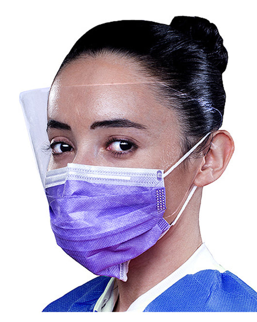 ValuMax ArchAway Double Seal Earloop Mask with Face Shield