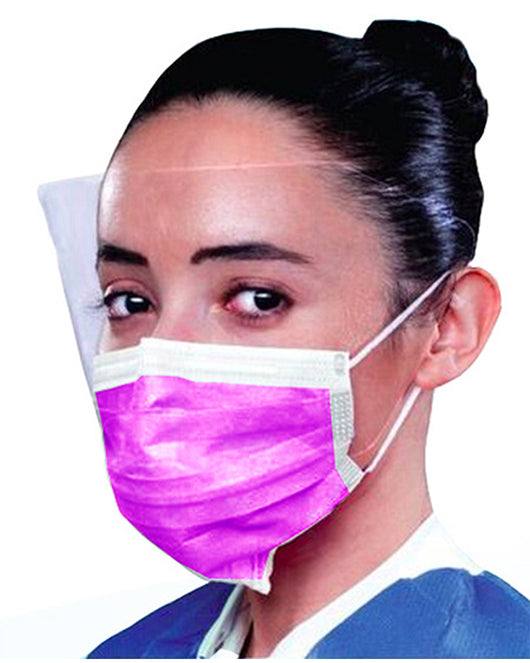 ValuMax ArchAway Double Seal Earloop Mask with Face Shield