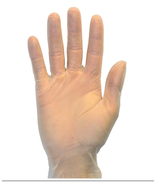 Powder Free Clear Vinyl Gloves (4.1 mil) | Exam Grade | Case of 1000