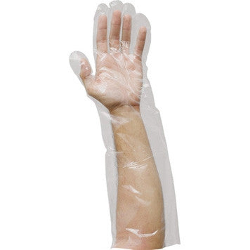 Disposable Plastic/Poly Gloves